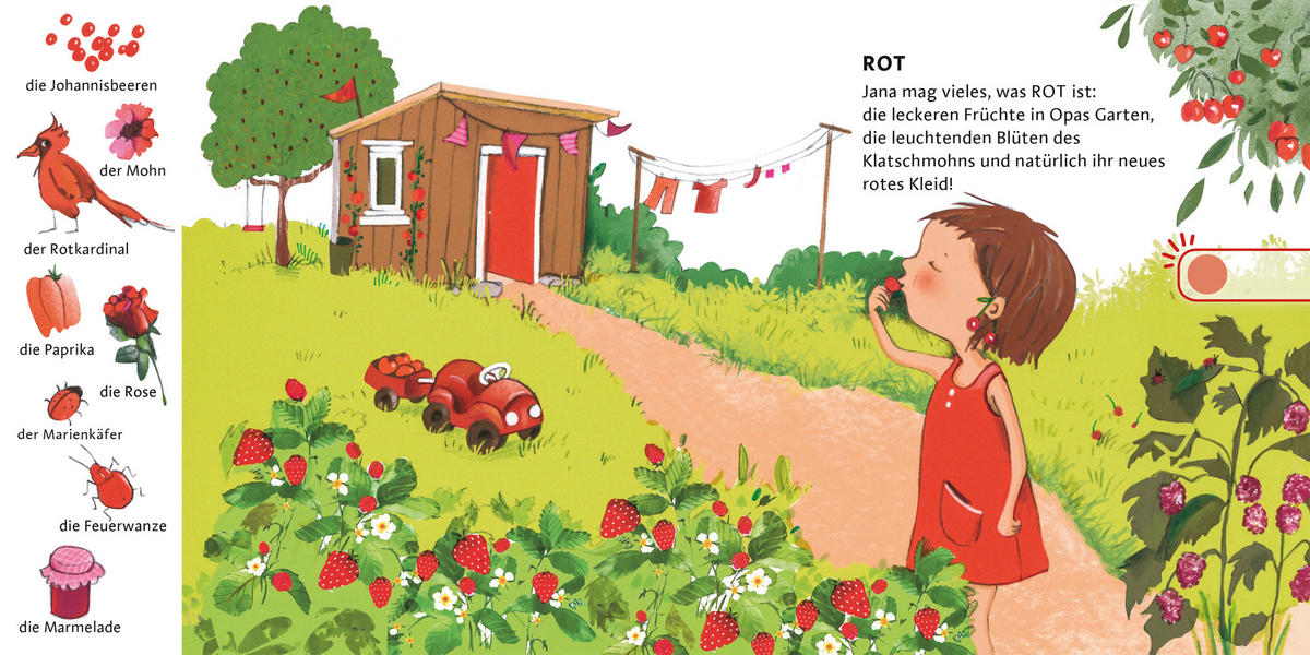 BUCH - Multicolor, Basics, Papier (18/18/1,85cm) - Carlsen