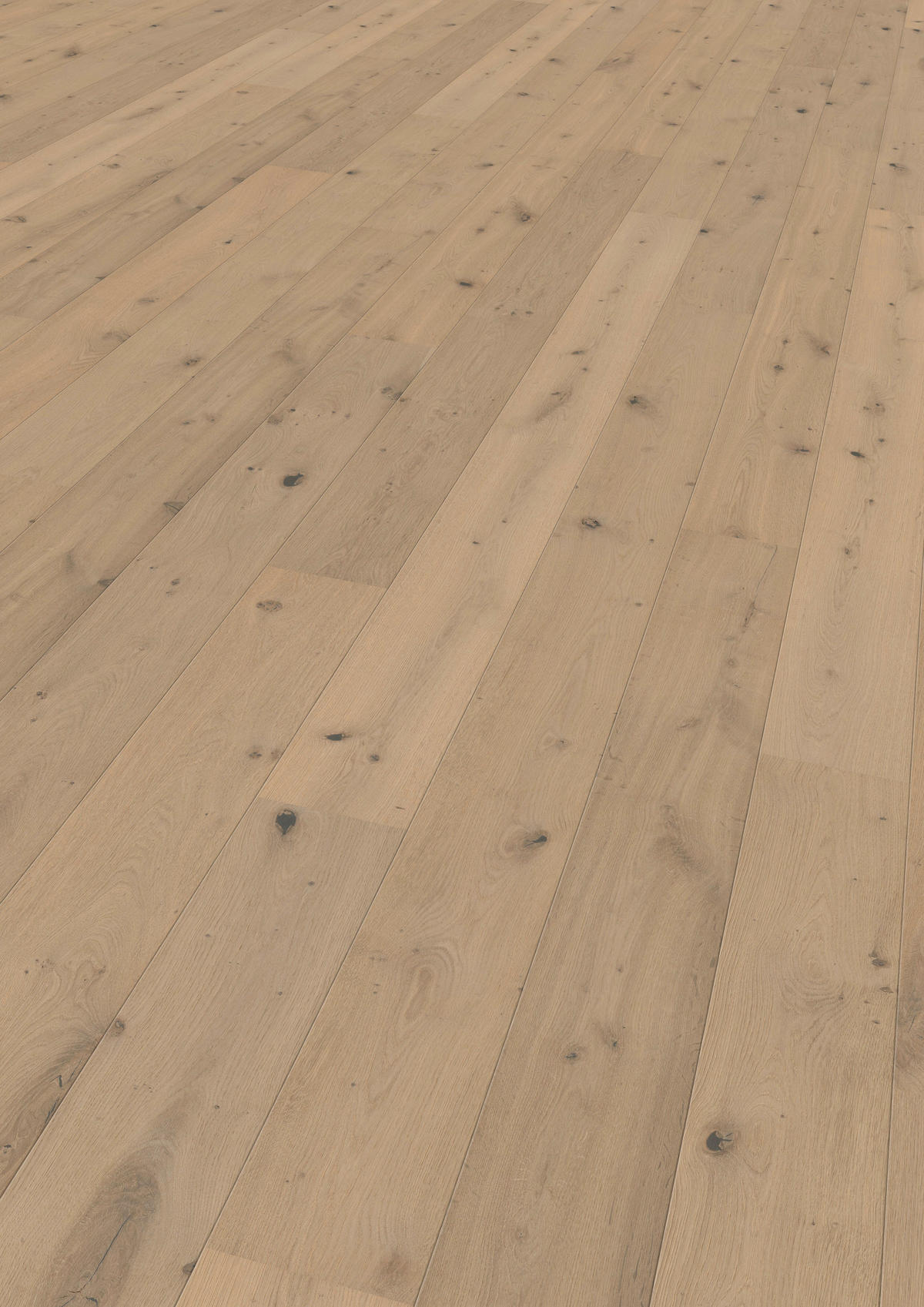 LANDHAUSDIELE Rustico Trend Eiche Crema!Pur 100014501  per  m² - Design, Holz (2205/176/13cm) - Tilo