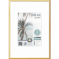 RÁM NA OBRAZY, 1 foto 21 cm x 29,7 cm - barvy zlata, Basics, plast/sklo (30,7/22,1cm)