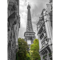 KUNSTDRUCK Städte, Architektur 30/40 cm  - Weiß/Grau, Basics, Papier (30/40cm) - Monee