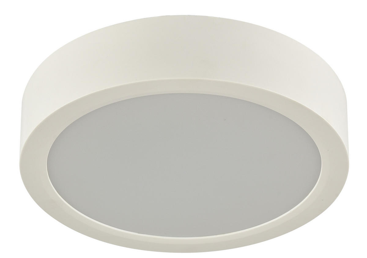 STROPNÍ LED SVÍTIDLO, 17/3,6 cm  - bílá, Konvenční, plast (17/3,6cm) - Boxxx