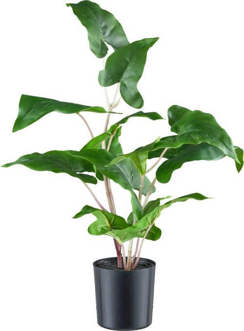 KUNSTPFLANZE 50 cm  - Schwarz/Braun, Design, Kunststoff (50cm) - P & B