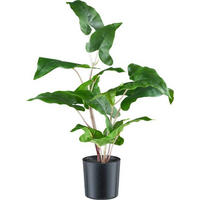 KUNSTPFLANZE 50 cm  - Schwarz/Braun, Design, Kunststoff (50cm) - P & B