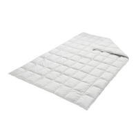 DAUNENDECKE  EIDERDAUNE 140/220 cm 100 % Daunen  - Hellgrau, Basics, Textil (140/220cm)