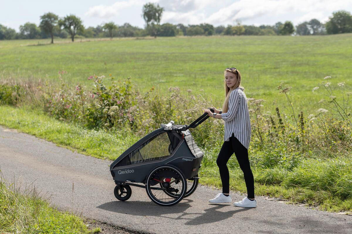 FAHRRADANHÄNGER   Kidgoo 2  - Basics, Kunststoff/Metall (122/81/90cm)