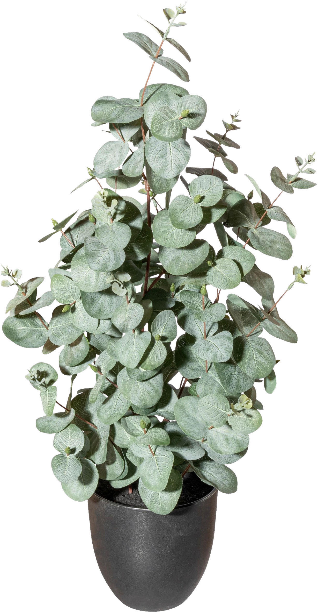 KUNSTPFLANZE Eukalyptus 60 cm  - Schwarz/Grau, Design, Kunststoff (60cm) - P & B