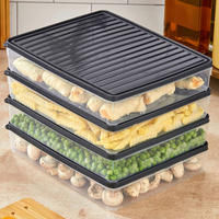 SADA DÓZ NA POTRAVINY 4dílné - šedá/čiré, Basics, plast (27.5/5/22.5cm)