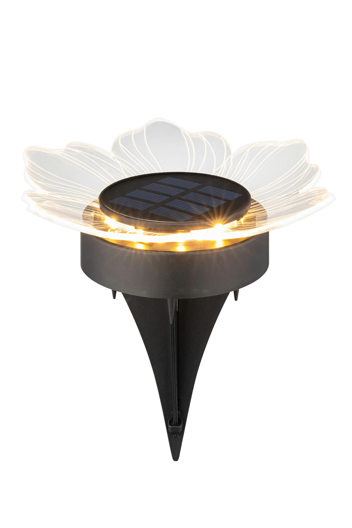 SOLARLEUCHTENSET Lisianthus 14/14 cm  - Transparent/Schwarz, Design, Kunststoff (14/14cm) - Ambia Garden