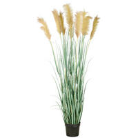 KUNSTPFLANZE  - Creme/Grau, Basics, Kunststoff (25/175/25cm)