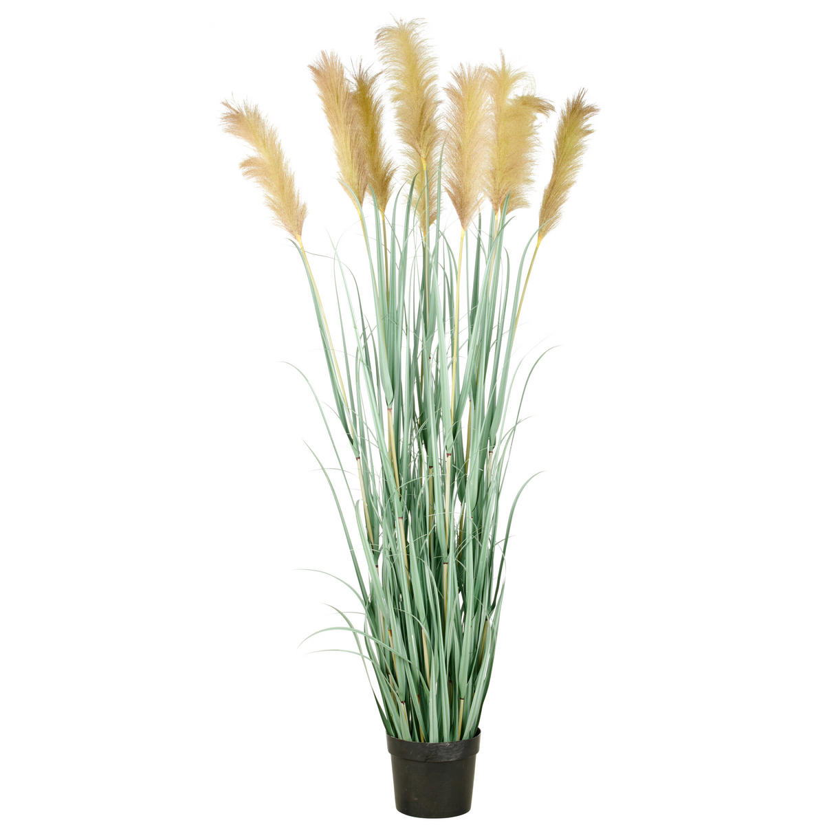 KUNSTPFLANZE  - Creme/Grau, Basics, Kunststoff (25/175/25cm)