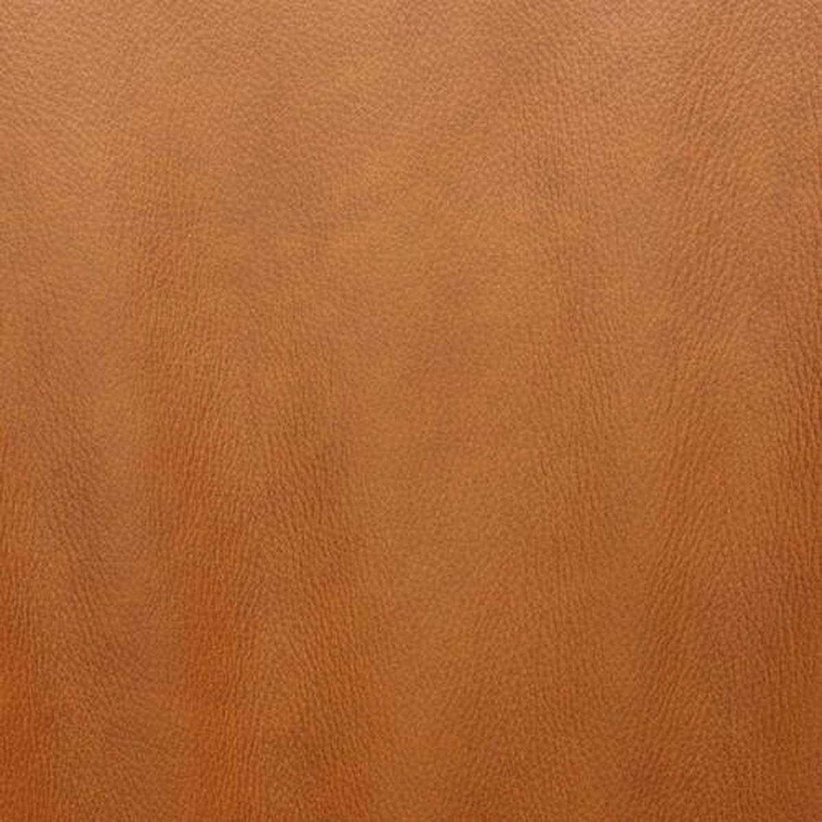 ARMLEHNSTUHL  in Stahl gewachst  - Anthrazit/Bernsteinfarben, Design, Leder/Metall (60/87/62cm) - Bert Plantagie