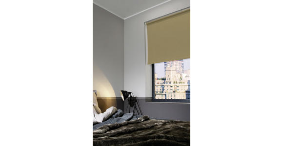 ROLLO 60/160 cm  - Beige, Basics, Kunststoff (60/160cm) - Homeware