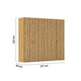 DREHTÜRENSCHRANK 251/223/60 cm 5-türig Eichefarben  - Eichefarben/Silberfarben, Design, Holzwerkstoff/Kunststoff (251/223/60cm) - Novel