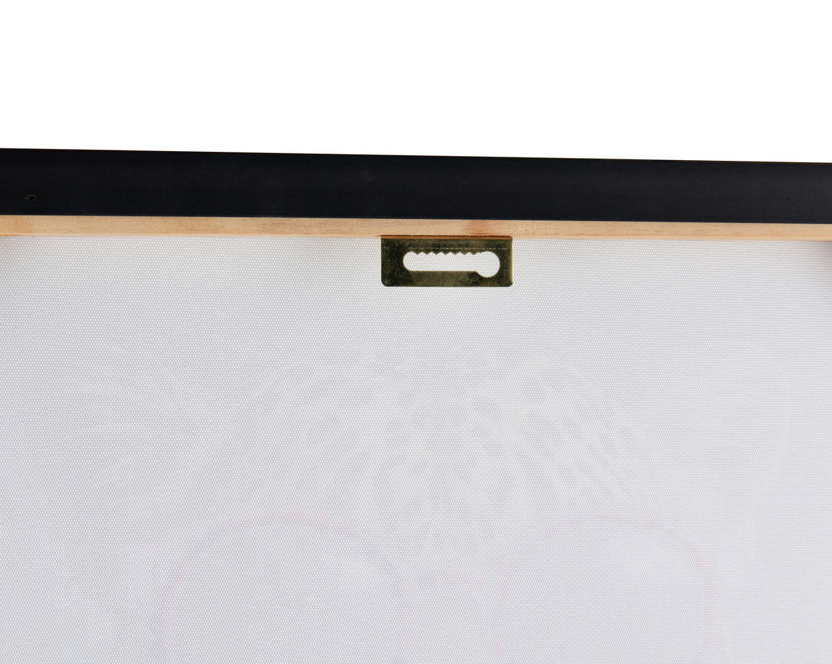 BILD Tiere Multicolor  - Messingfarben/Multicolor, Design, Kunststoff (60/90/5,5cm)