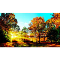 ACRYLGLASBILD Landschaft & Natur  - Multicolor, KONVENTIONELL, Kunststoff (100/180/1,70cm) - Euroart
