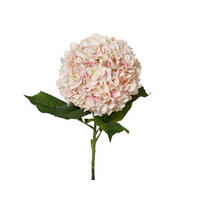 HORTENZIE 106 cm - Basics (106cm)