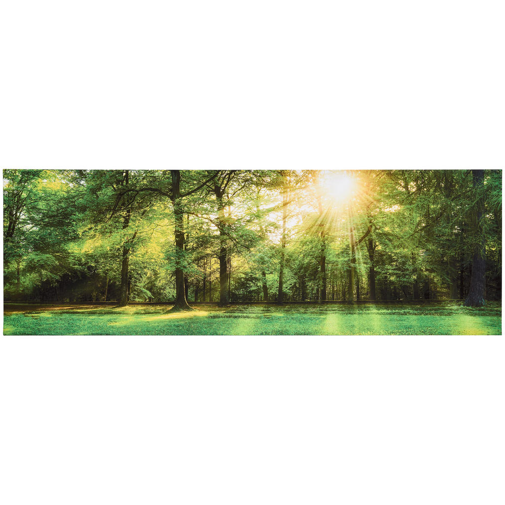 Euroart OBRAZ NA PLÁTNĚ, krajina a příroda, 180/60/3 cm - vícebarevná - borovice