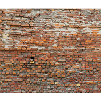 NON WOVEN-TAPET 300/250 cm  - brun, Basics (300/250cm) - Komar