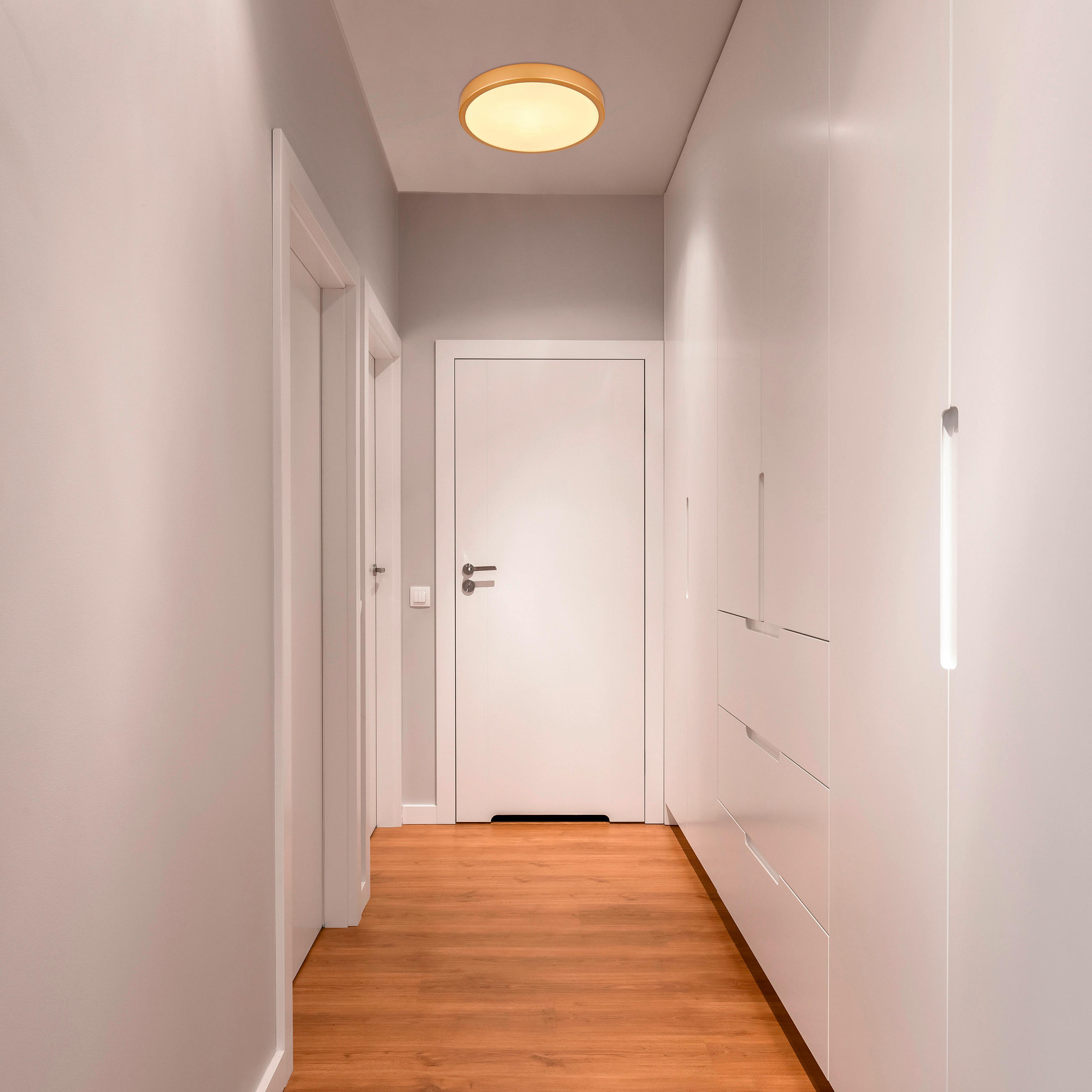 LED-DECKENLEUCHTE 25/3 cm   - Messingfarben/Opal, KONVENTIONELL, Kunststoff/Metall (25/3cm) - Globo