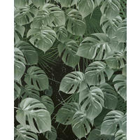VLIESTAPETE  - Natur (200/250cm) - Komar