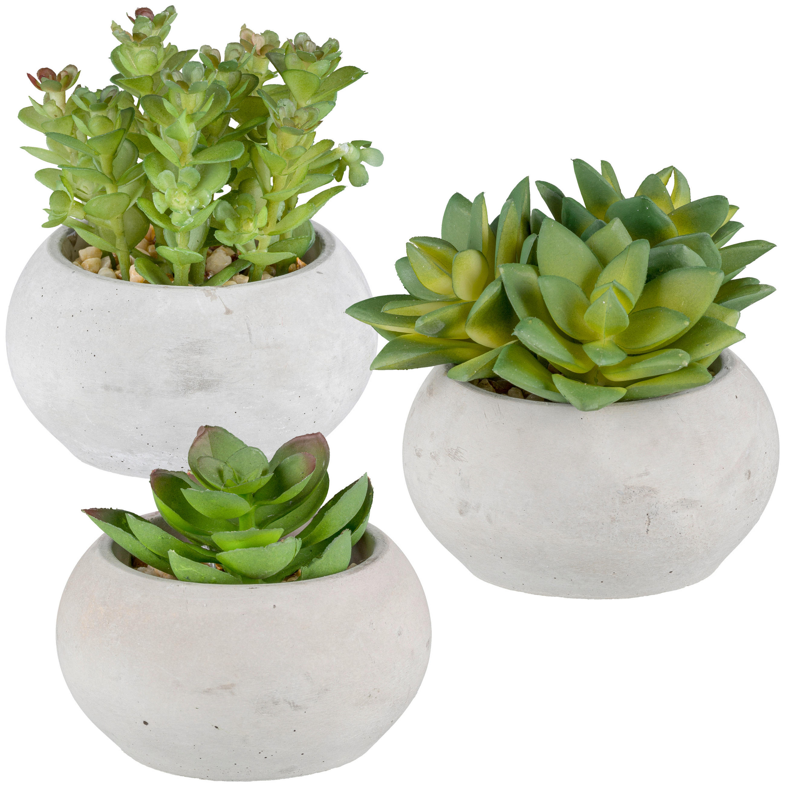 KUNSTPFLANZE Sukkulente 9 cm  - Hellgrau/Grün, Basics, Kunststoff/Stein (9cm)
