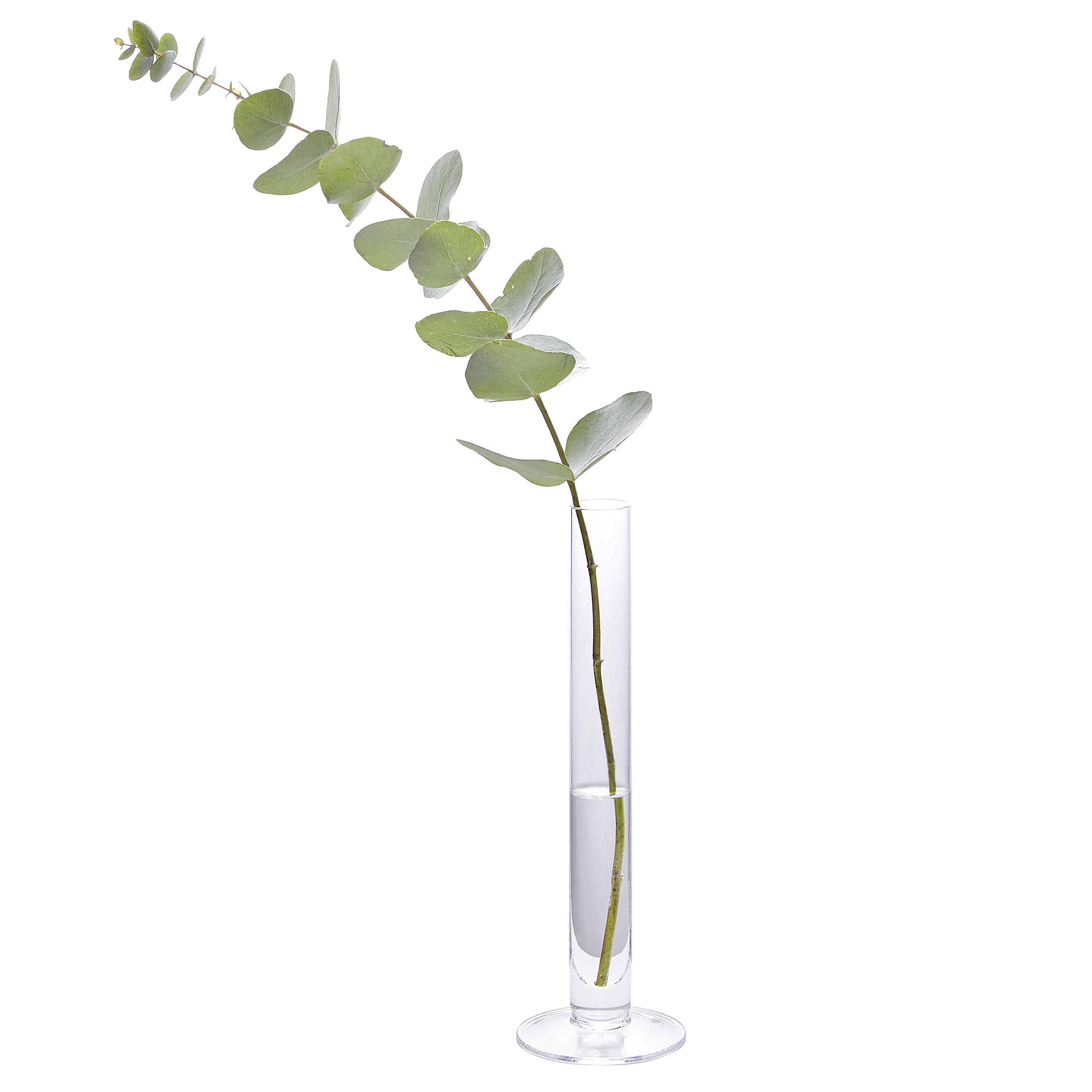 VÁZA, sklo, 25 cm - čiré, Basics, sklo (25cm)