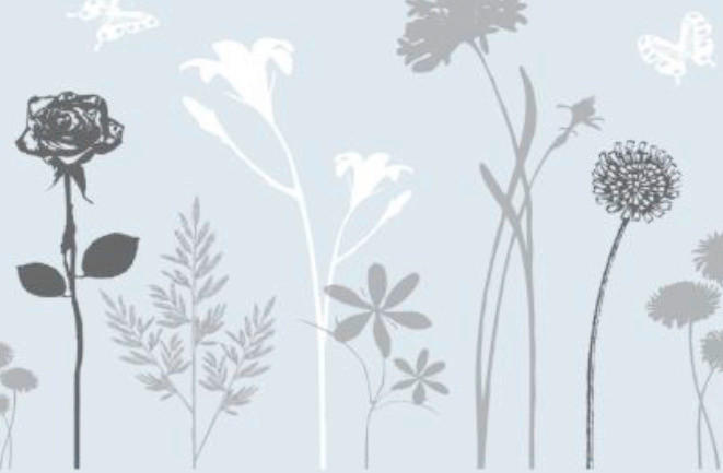 SICHTSCHUTZFOLIE    45/150 cm   - Dunkelgrau/Transparent, Natur, Kunststoff (45/150cm)