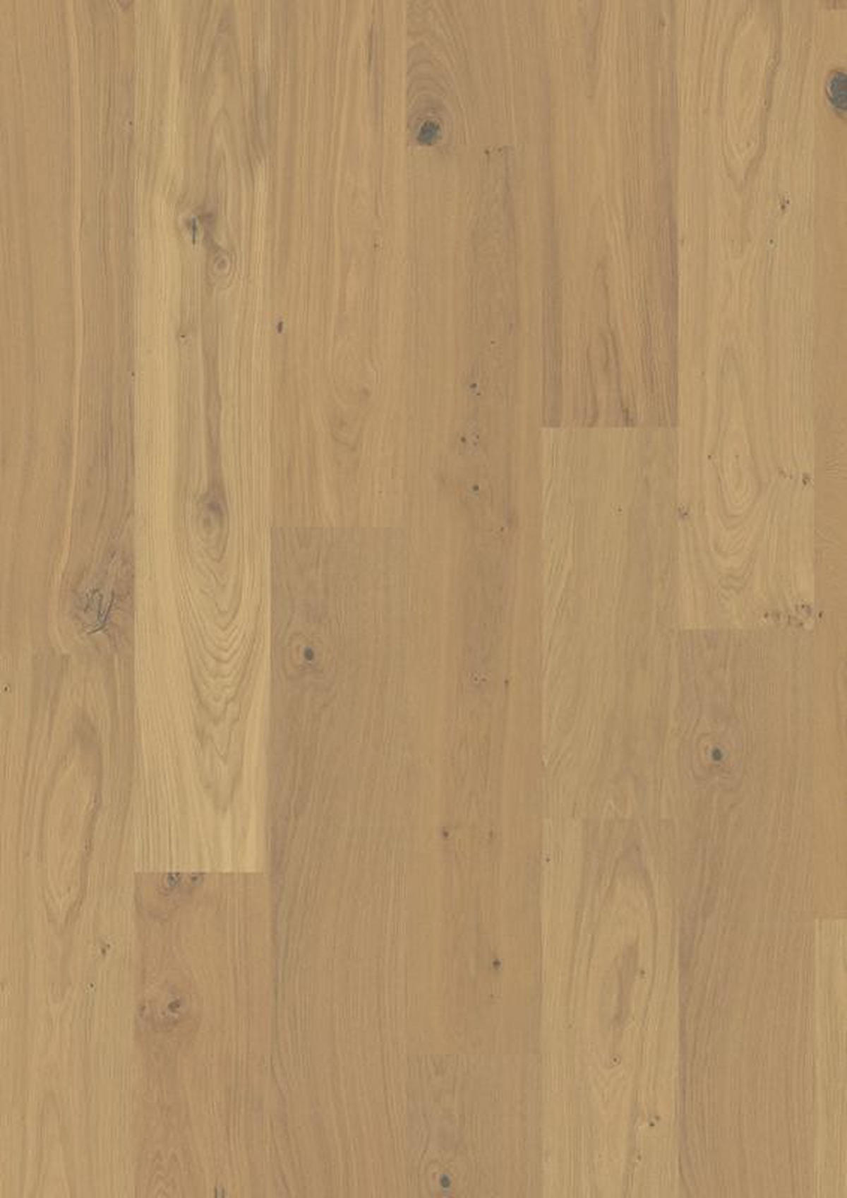 HOLZBODEN Uno Eiche Sahara 100018501  per  m² - Design, Holz (127/19/0,9cm) - Tilo