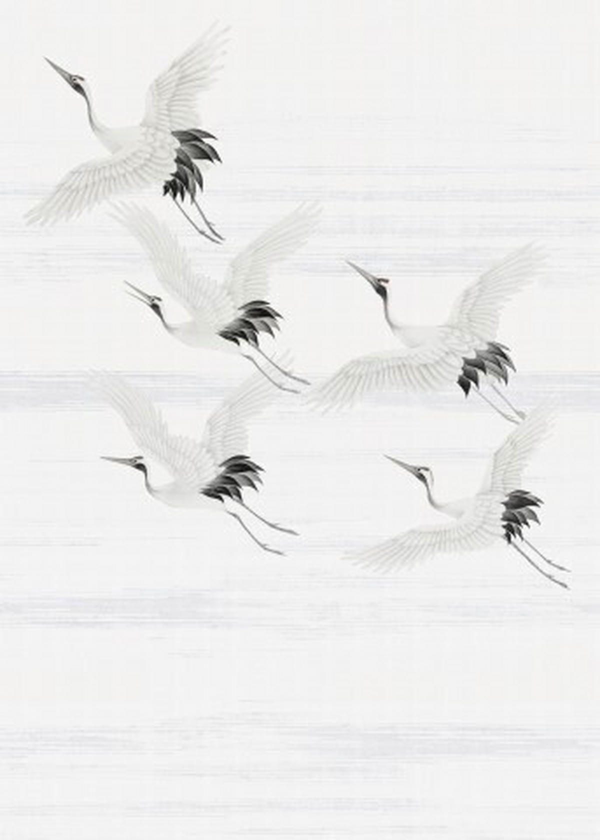 FOTOTAPETE - Weiß/Grau, Basics, Papier/Kunststoff (200/280cm)