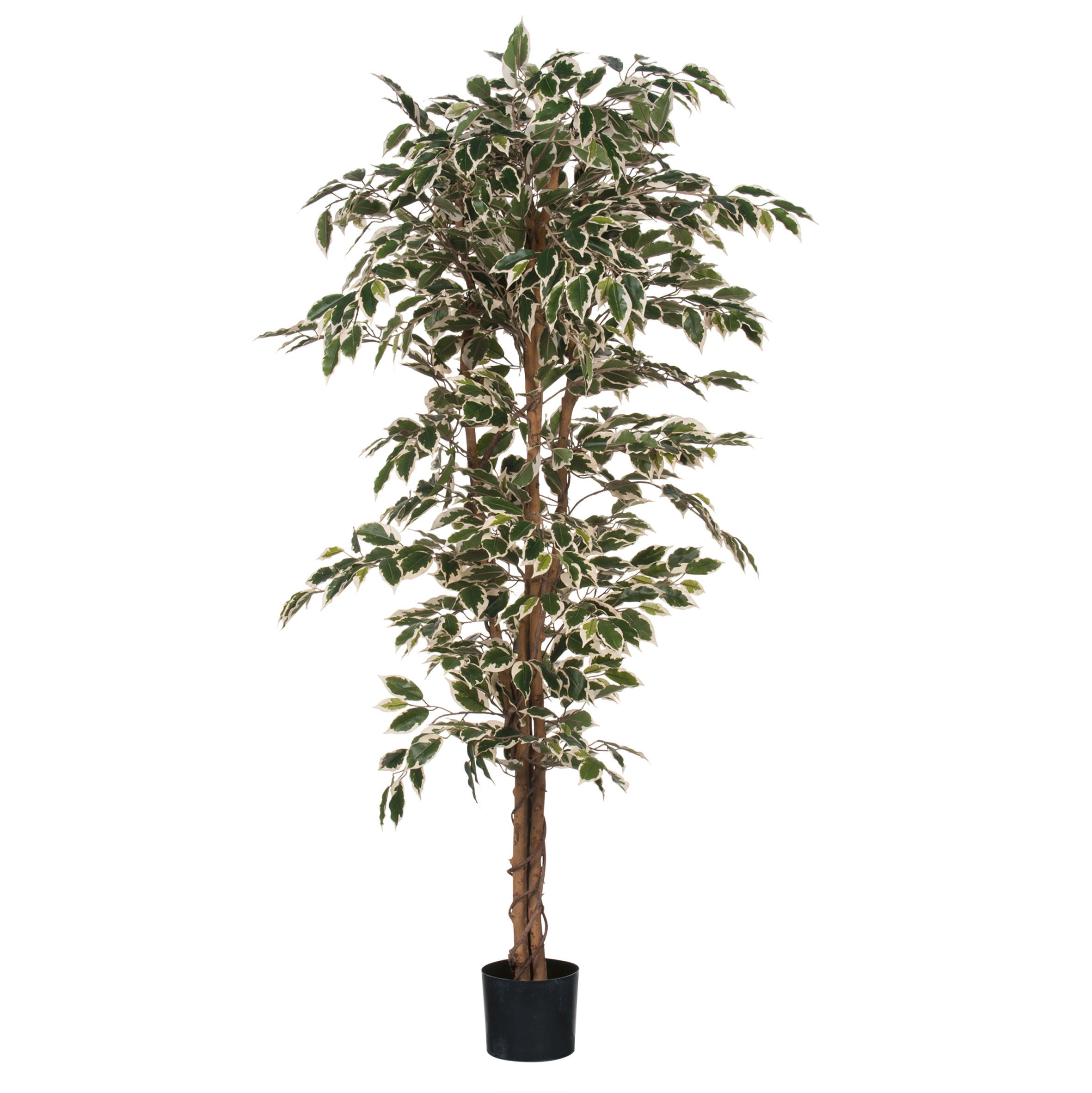 VEŠTAČKA BILJKA - zelena, Osnovno, plastika (90/180cm)