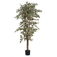 UMETNA RASTLINA - zelena, Basics, umetna masa (90/180cm)