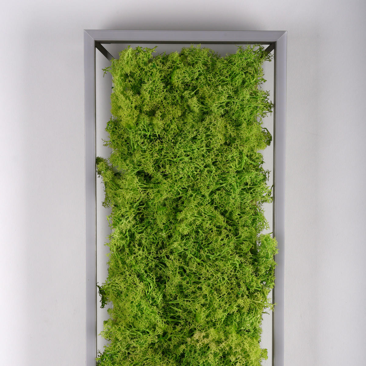 LED-DECKENLEUCHTE Green Knut 100/25/5,6 cm   - Natur, Naturmaterialien/Kunststoff (100/25/5,6cm)