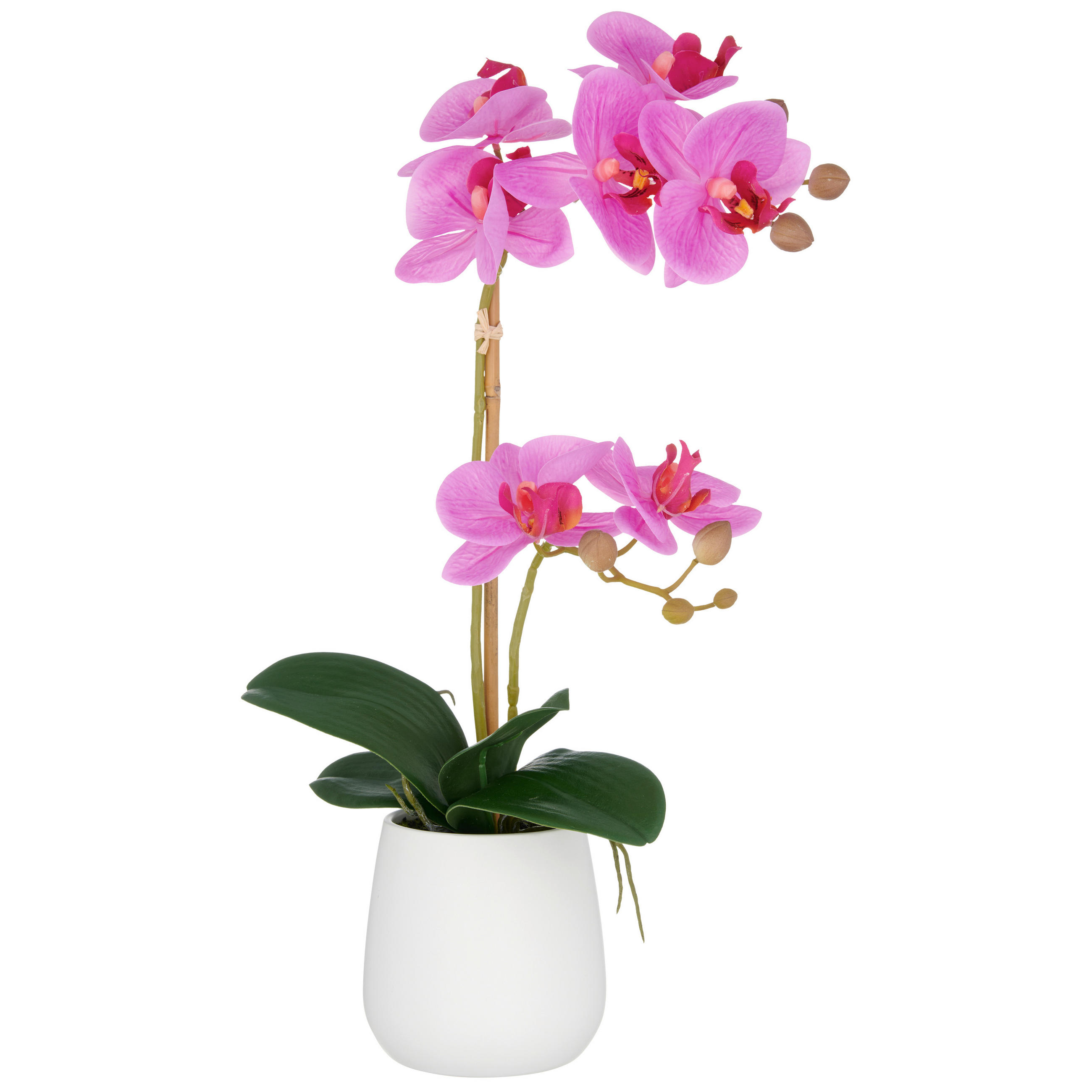 KUNSTPFLANZE Orchidee  - Lila/Weiß, Basics, Keramik/Kunststoff (17/55/17cm) - P & B