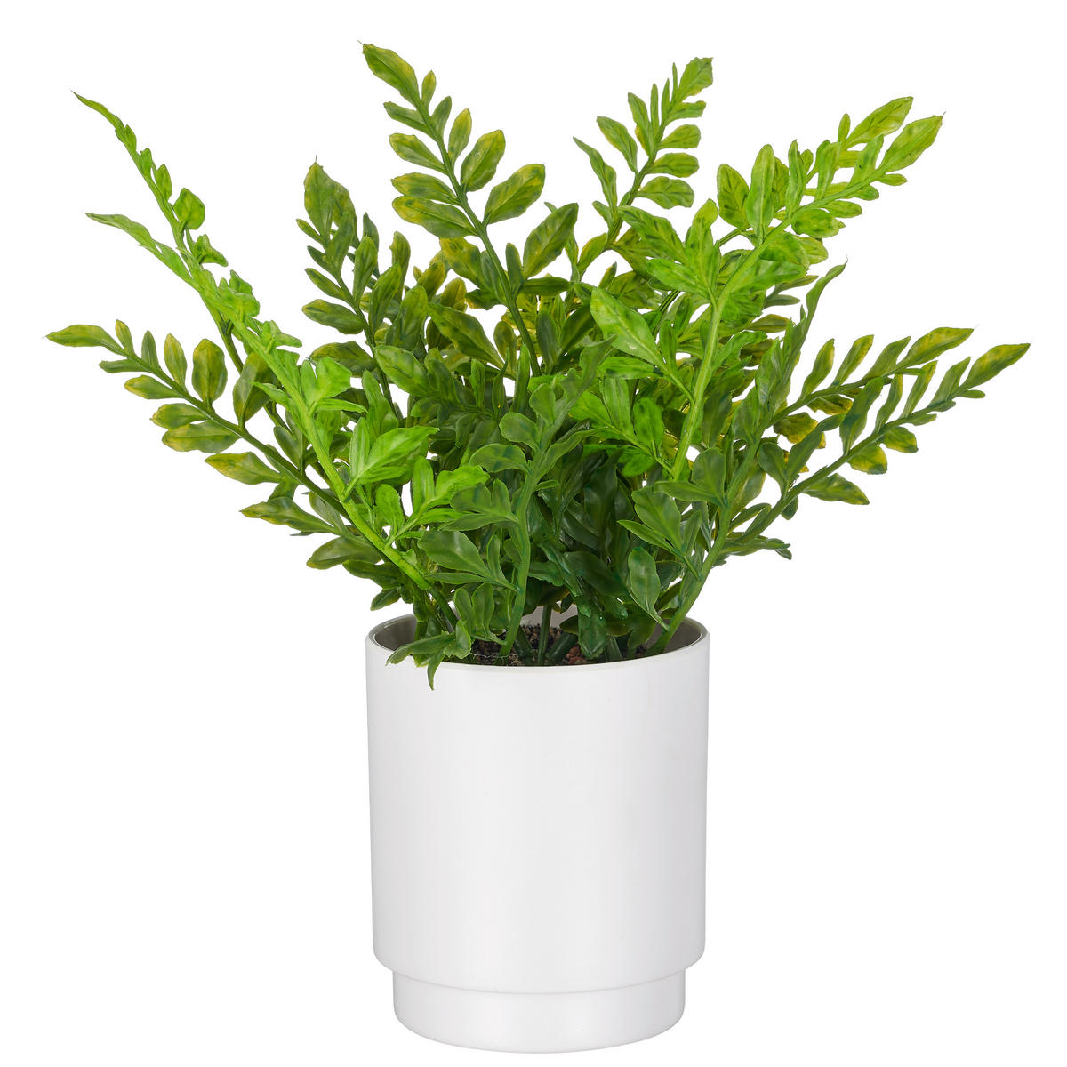 KUNSTPFLANZE Farn 25 cm  - Weiß/Grün, Basics, Kunststoff (25cm)