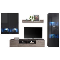 DNEVNI REGAL,  antracit, siva, barve srebrnega hrasta  - srebrne barve/črna, Moderno, umetna masa/steklo (325/195/42cm) - Hom`in