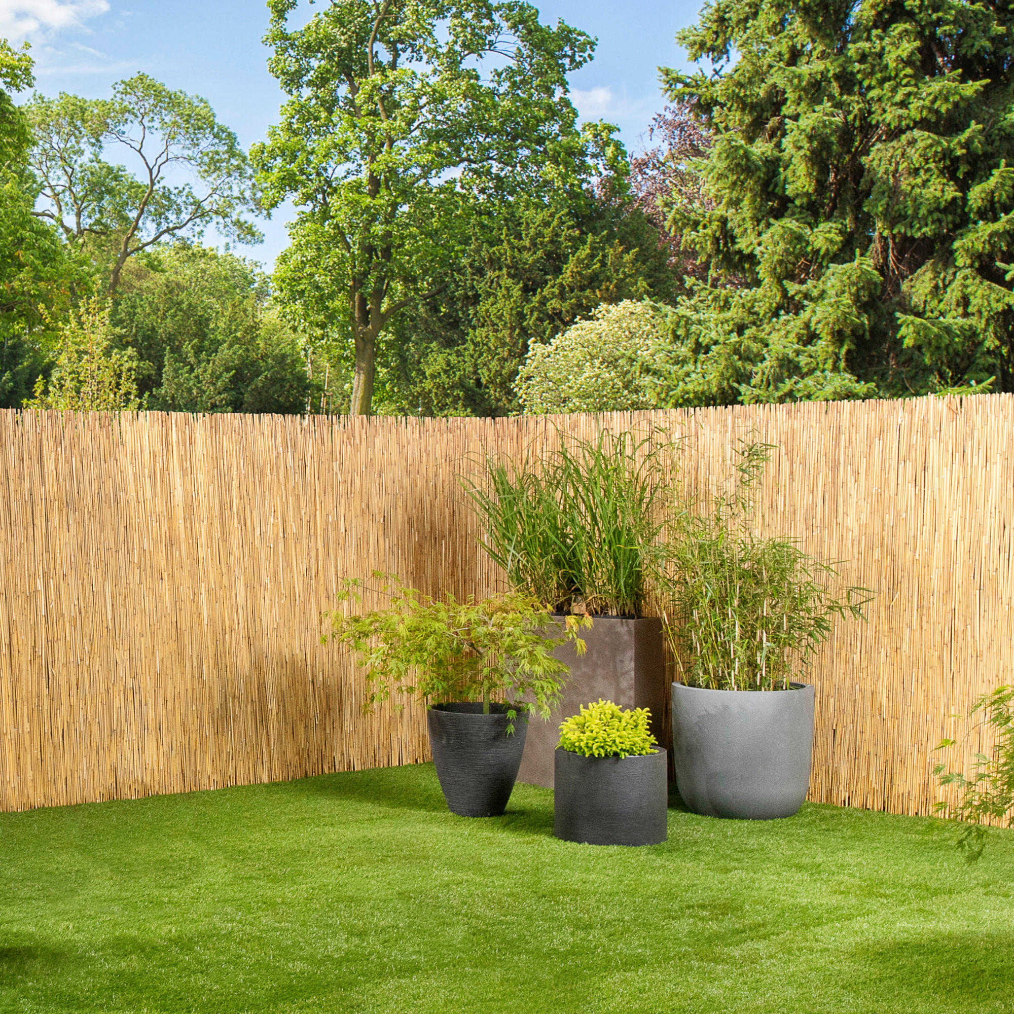 SICHTSCHUTZ - Naturfarben, Basics, Naturmaterialien (600/120cm)