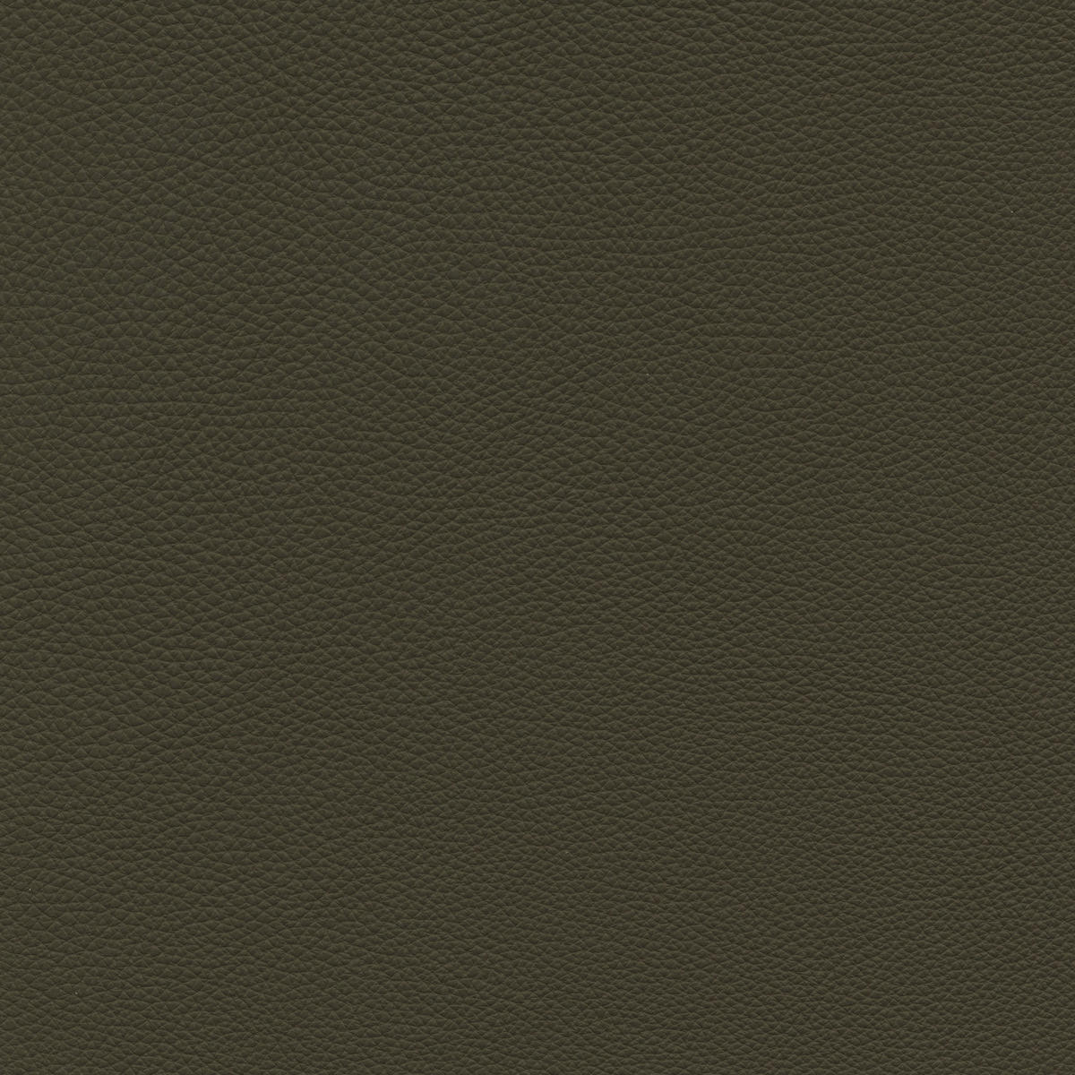 ECKSOFA in Echtleder Olivgrün  313/165 cm  - Beige/Schwarz, Design, Leder/Metall (313/165cm) - Belluti