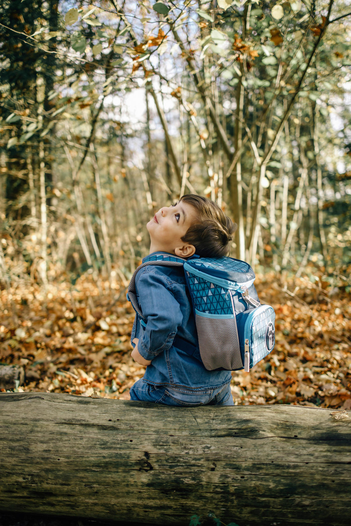 KINDERRUCKSACK Scooli Mini Me Ricki Racoon  - Blau/Grau, Basics, Textil (20/29/13cm)