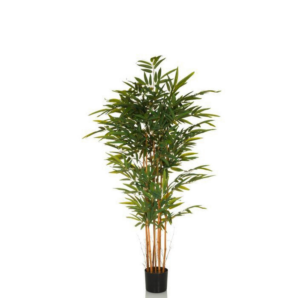 KONSTVÄXT bambu  - grön/svart, Modern, textil/plast (80/150/80cm) - MID.YOU