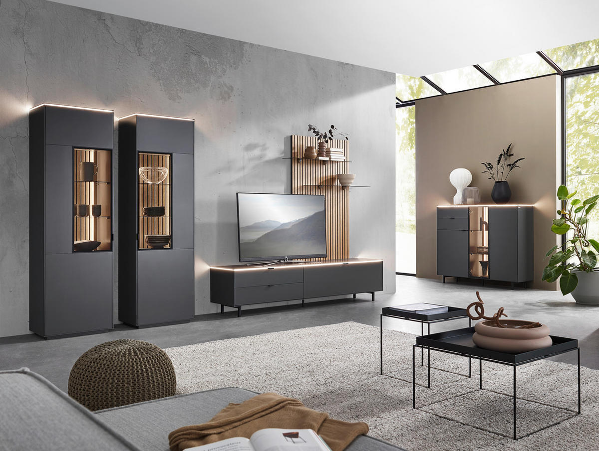 WOHNWAND  in Anthrazit, Naturfarben, Eichefarben 216/198,3/46 cm  - Eichefarben/Anthrazit, Design, Glas/Holz (216/198,3/46cm) - Dieter Knoll
