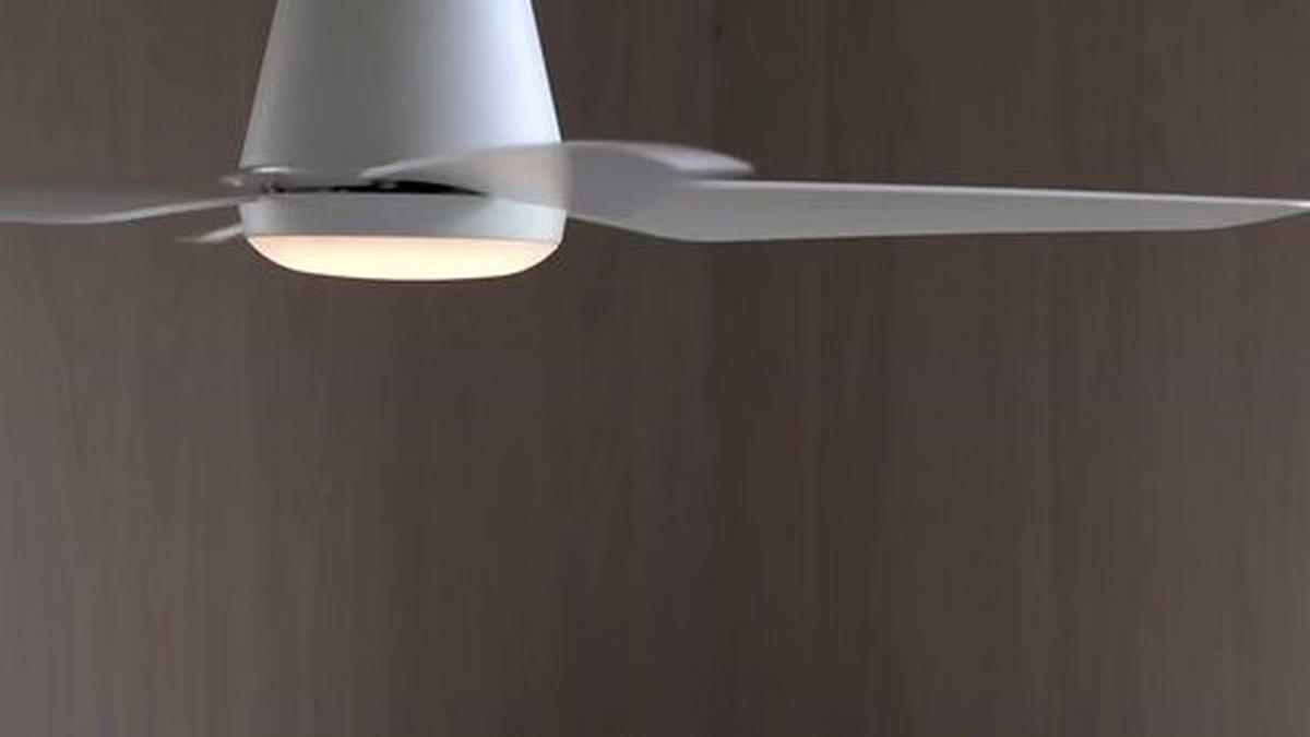 DECKENVENTILATOR Aria 122/21 cm   - Schwarz, Basics, Kunststoff (122/21cm) - P & B