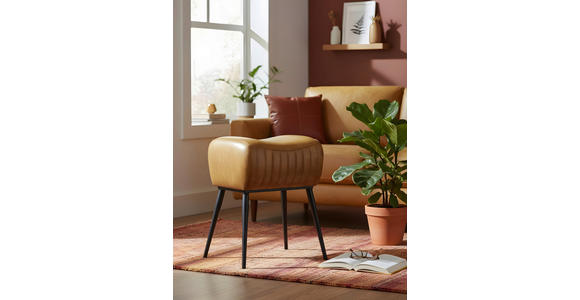 HOCKER Echtleder Braun, Schwarz  - Schwarz/Braun, Trend, Leder/Metall (40/50/30cm) - Landscape