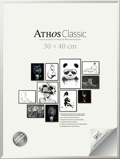 BILDERRAHMEN - Chromfarben, Basics, Papier/Holzwerkstoff (30/40/1,8cm)