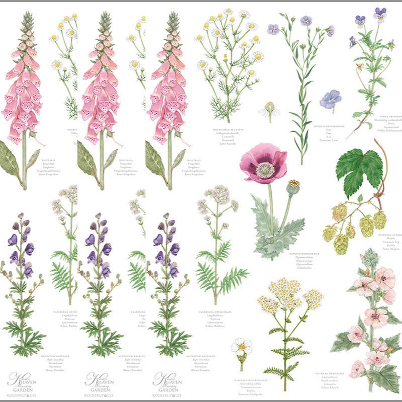 Thumbnail - Geschirrtuch-Set The Monastery Garden, Mehrfarbig, Textil, 3-teilig, Blume, 50x70 cm, Kochen, Geschirrtücher & Schürzen,...