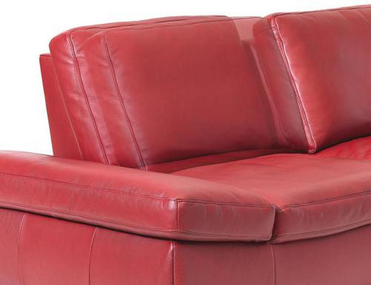 2-SITZER-SOFA Echtleder Rot  - Edelstahlfarben/Rot, Design, Leder/Metall (220/85/109cm) - Moderano