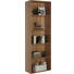 REGAL in 60/192/32 cm Eichefarben - Eichefarben/Schwarz, Design, Holzwerkstoff/Kunststoff (60/192/32cm) - Carryhome REGAL in 60/192/32 cm Eichefarben - Eichefarben/Schwarz, Design, Holzwerkstoff/Kunststoff (60/192/32cm) - Carryhome