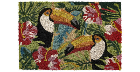 KOKOSMATTE 40/60 cm - Multicolor, KONVENTIONELL, Naturmaterialien/Kunststoff (40/60cm) - Esposa