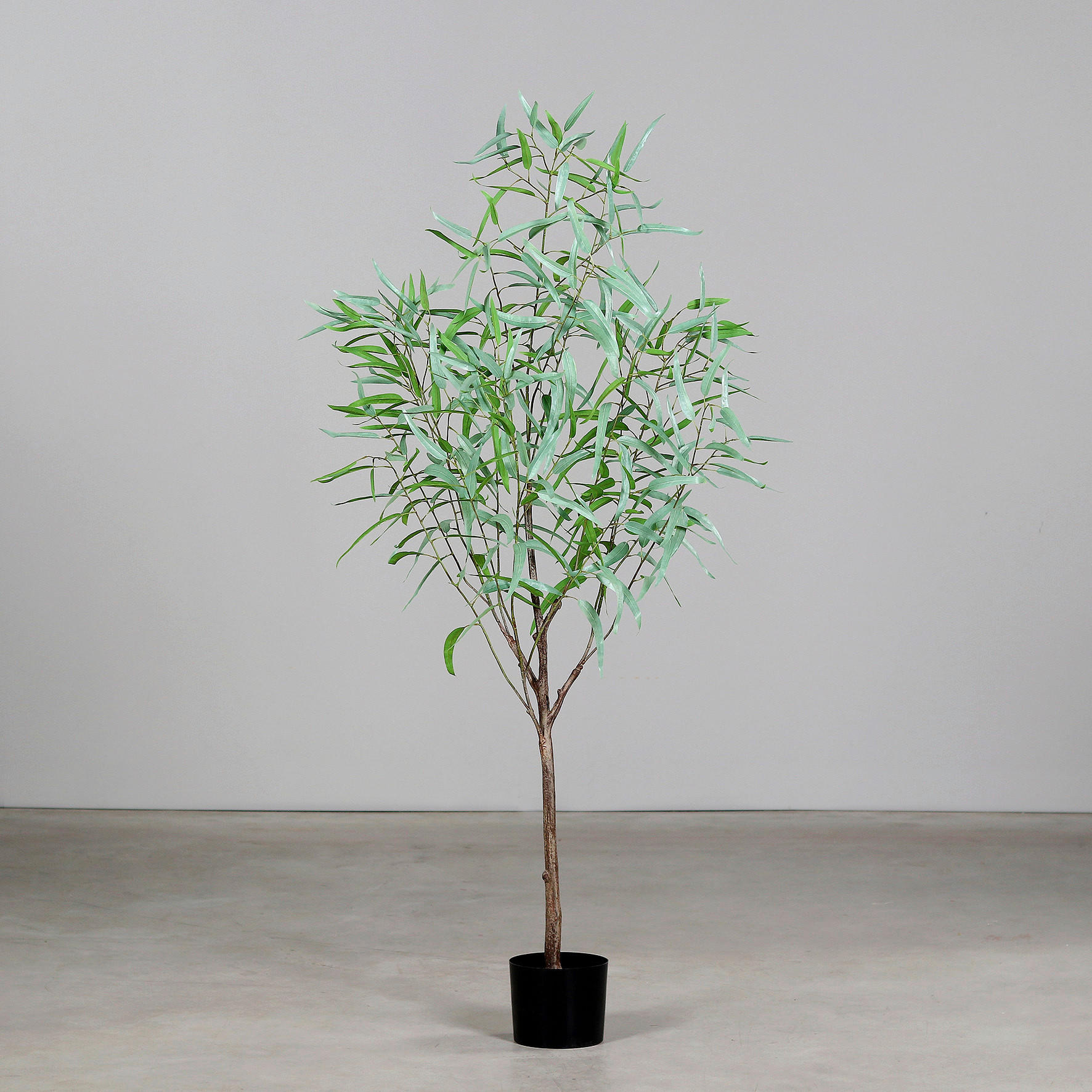 UMETNA RASTLINA           165 cm    - zelena, Basics, umetna masa (165cm)