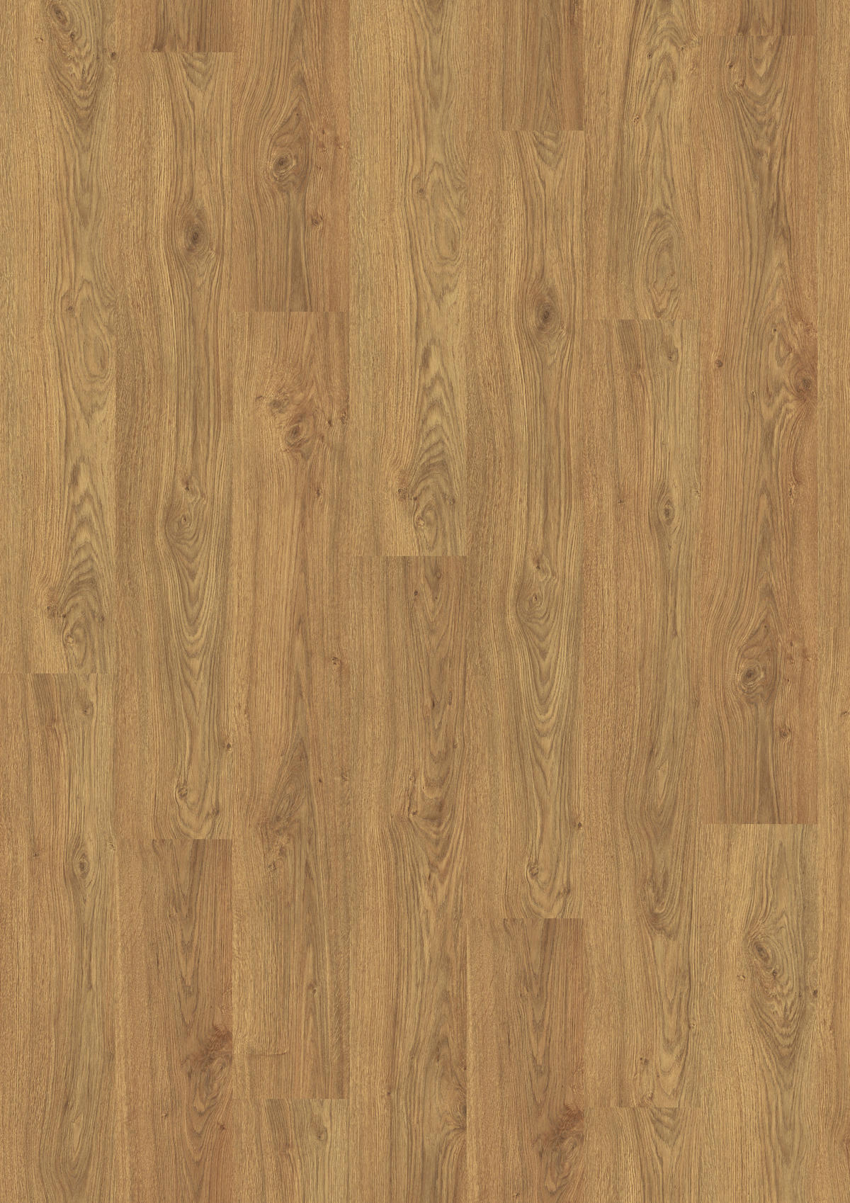 LAMINATBODEN Asgil Eiche EGGER Nature Sense  per  m² - Eichefarben/Braun, KONVENTIONELL, Holzwerkstoff (129.2/19.3/0.8cm) - Egger Holzwerkstoffe