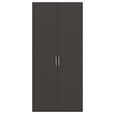 DREHTÜRENSCHRANK 101/235/61 cm,  in Graphitfarben, 2-türig  - Edelstahlfarben/Graphitfarben, Basics, Holzwerkstoff/Metall (101/235/61cm) - Novel
